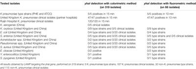 Development of Loop-Mediated Isothermal Amplification Rapid Diagnostic Assays for the Detection of Klebsiella pneumoniae and Carbapenemase Genes in Clinical Samples
